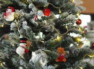 Sapin de noël : comment bien le choisir ?