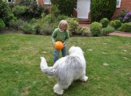 Apprendre à ses enfants à s’occuper d’un chien